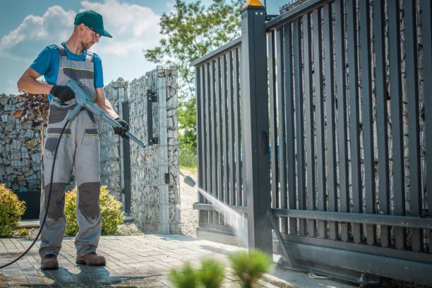 Best Brick and Stone Cleaning in Iowa Colony, TX