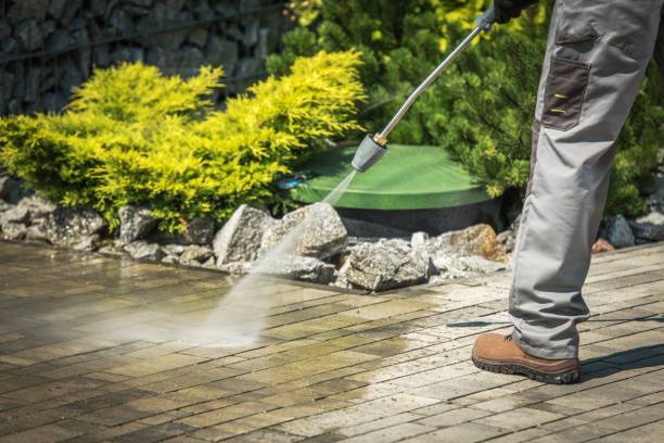 Best Concrete Surface Cleaning in Iowa Colony, TX