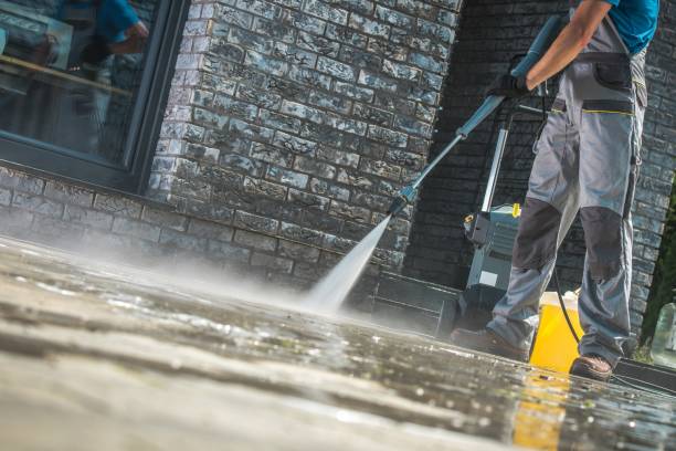Best Vinyl Siding Pressure Washing in Iowa Colony, TX