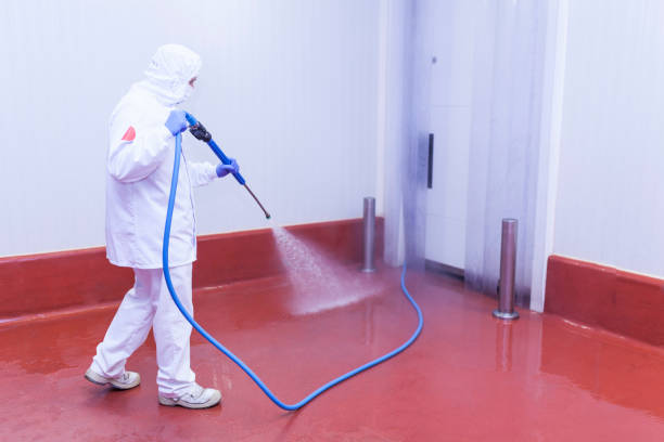 Best Graffiti Removal Services in Iowa Colony, TX