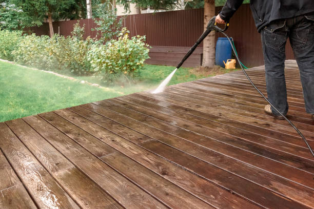 Best Roof Cleaning and Mildew Removal in Iowa Colony, TX
