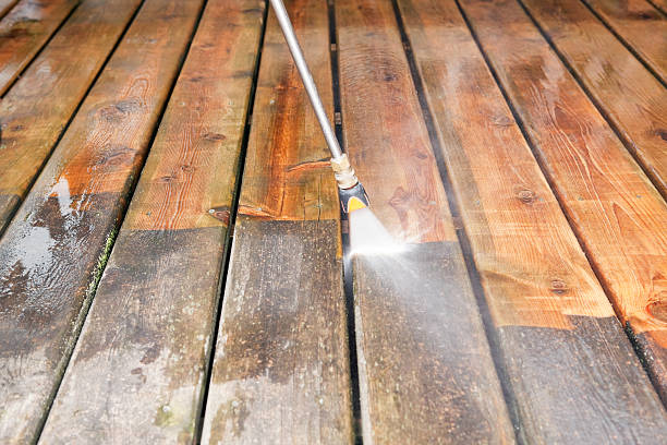 Best Fence Cleaning and Maintenance in Iowa Colony, TX