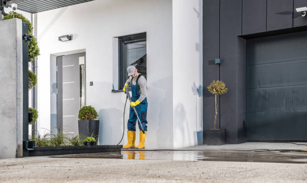Best Parking Lot Cleaning in Iowa Colony, TX