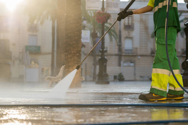 Best Window and Screen Pressure Cleaning in Iowa Colony, TX